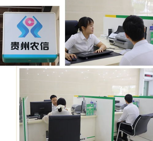 金融活水潤(rùn)萬(wàn)山系列報(bào)道之一 信息技術(shù)咨詢服務(wù)助力萬(wàn)山破解養(yǎng)殖融資難題